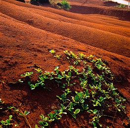 《原神》5.2版本PV发布 11月20日上线